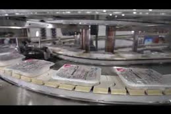 Hartness Dynac 6400 Acumulador de Envases